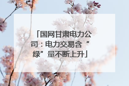 国网甘肃电力公司：电力交易含“绿”量不断上升