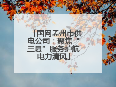 国网孟州市供电公司：聚焦“三夏”服务护航电力清风