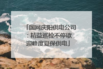 国网庆阳供电公司：精益巡检不停歇 迎峰度夏保供电