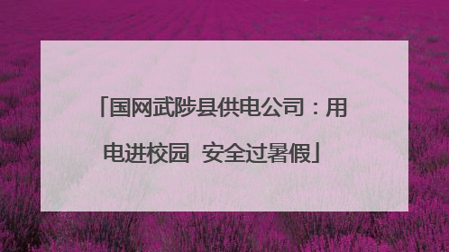 国网武陟县供电公司：用电进校园  安全过暑假