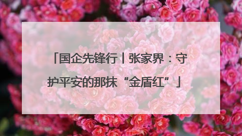 国企先锋行丨张家界：守护平安的那抹“金盾红”