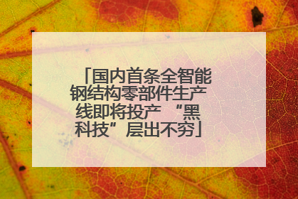 国内首条全智能钢结构零部件生产线即将投产 “黑科技”层出不穷