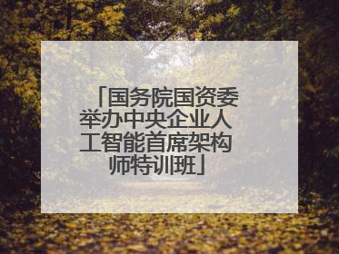 国务院国资委举办中央企业人工智能首席架构师特训班