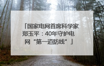国家电网首席科学家郑玉平：40年守护电网“第一道防线”