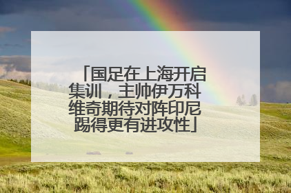 国足在上海开启集训，主帅伊万科维奇期待对阵印尼踢得更有进攻性