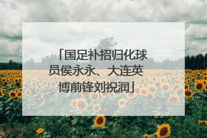 国足补招归化球员侯永永、大连英博前锋刘祝润