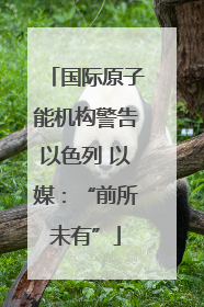 国际原子能机构警告以色列 以媒：“前所未有”