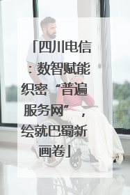 四川电信：数智赋能织密“普遍服务网”，绘就巴蜀新画卷