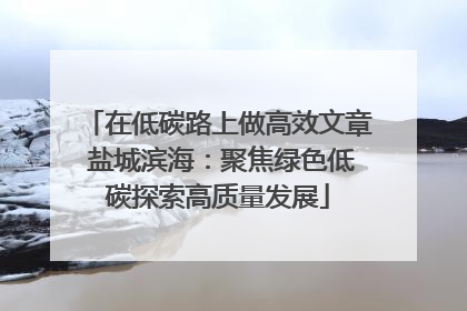 在低碳路上做高效文章 盐城滨海：聚焦绿色低碳探索高质量发展