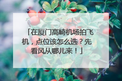 在厦门高崎机场拍飞机，点位该怎么选？先看风从哪儿来！