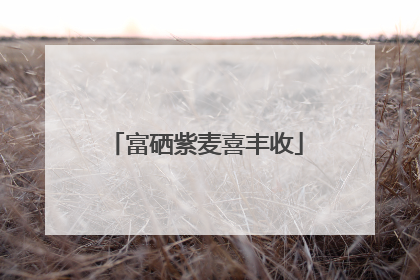富硒紫麦喜丰收