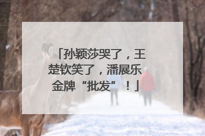 孙颖莎哭了，王楚钦笑了，潘展乐金牌“批发”！