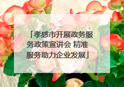 孝感市开展政务服务政策宣讲会 精准服务助力企业发展