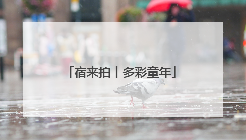 宿来拍丨多彩童年