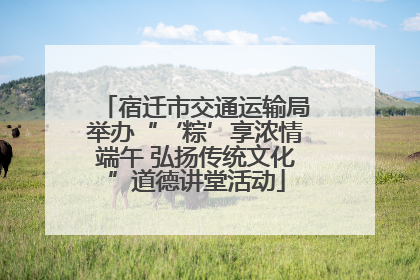 宿迁市交通运输局举办“‘粽’享浓情端午 弘扬传统文化”道德讲堂活动
