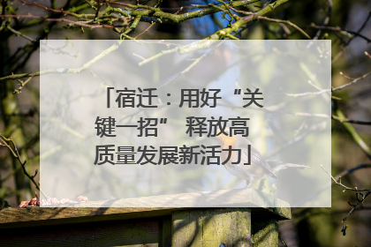 宿迁：用好“关键一招” 释放高质量发展新活力