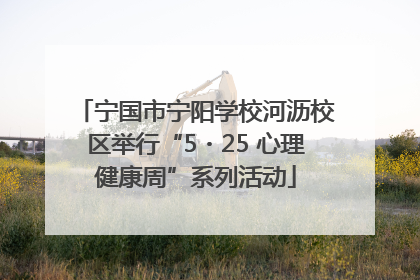 宁国市宁阳学校河沥校区举行“5・25 心理健康周”系列活动