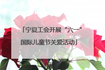 宁夏工会开展“六一”国际儿童节关爱活动