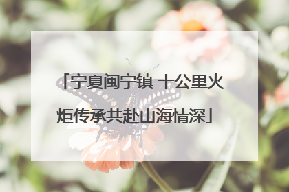 宁夏闽宁镇 十公里火炬传承共赴山海情深