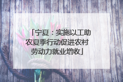 宁夏：实施以工助农夏季行动促进农村劳动力就业增收