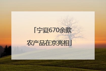 宁夏670余款农产品在京亮相