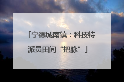 宁德城南镇：科技特派员田间“把脉”