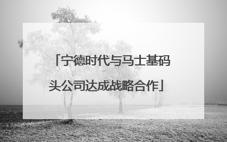 宁德时代与马士基码头公司达成战略合作