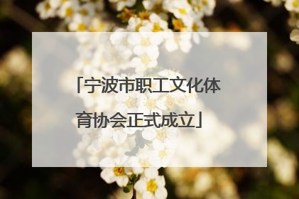 宁波市职工文化体育协会正式成立