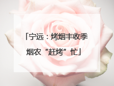 宁远：烤烟丰收季 烟农“赶烤”忙