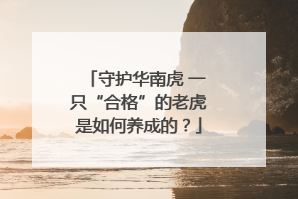 守护华南虎 一只“合格”的老虎是如何养成的？