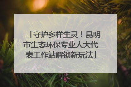 守护多样生灵！昆明市生态环保专业人大代表工作站解锁新玩法