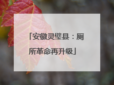 安徽灵璧县：厕所革命再升级