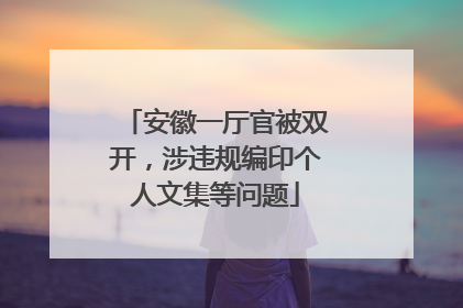 安徽一厅官被双开，涉违规编印个人文集等问题