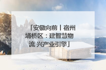 安徽向前丨宿州埇桥区：建智慧物流 兴产业引擎