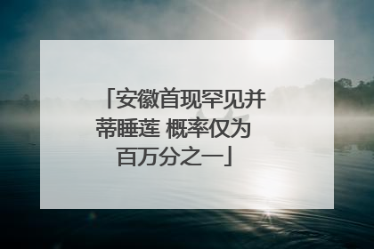 安徽首现罕见并蒂睡莲 概率仅为百万分之一