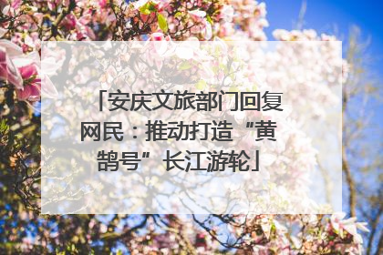 安庆文旅部门回复网民：推动打造“黄鹄号”长江游轮