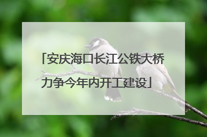 安庆海口长江公铁大桥力争今年内开工建设