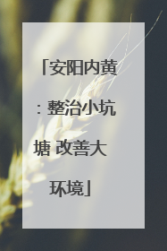 安阳内黄：整治小坑塘 改善大环境