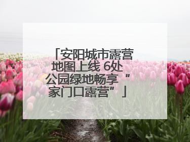 安阳城市露营地图上线 6处公园绿地畅享“家门口露营”