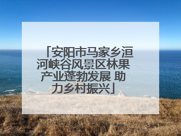 安阳市马家乡洹河峡谷风景区林果产业蓬勃发展 助力乡村振兴