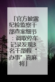 官方披露纪检监察干部查案细节：调取停车记录发现3名干部假“办事”真麻将