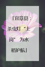 宜章县：杀虫灯“上岗” 为水稻护航