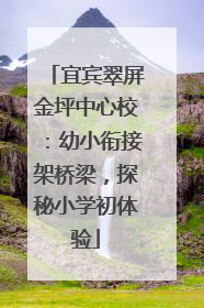 宜宾翠屏金坪中心校：幼小衔接架桥梁，探秘小学初体验