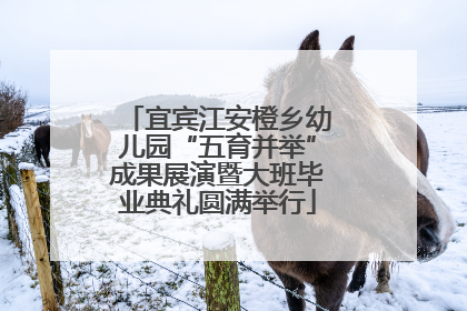 宜宾江安橙乡幼儿园“五育并举”成果展演暨大班毕业典礼圆满举行