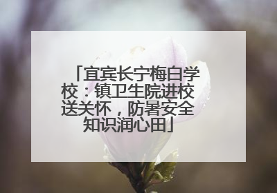 宜宾长宁梅白学校：镇卫生院进校送关怀，防暑安全知识润心田