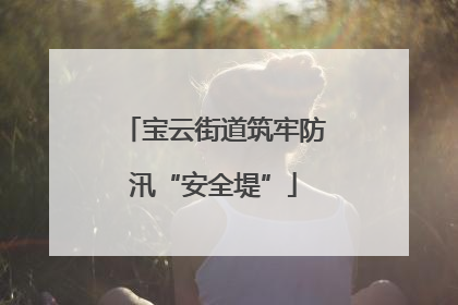 宝云街道筑牢防汛“安全堤”