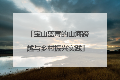 宝山蓝莓的山海跨越与乡村振兴实践