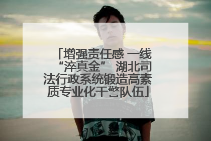 增强责任感 一线“淬真金” 湖北司法行政系统锻造高素质专业化干警队伍