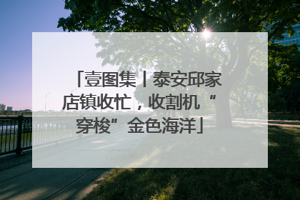 壹图集丨泰安邱家店镇收忙，收割机“穿梭”金色海洋