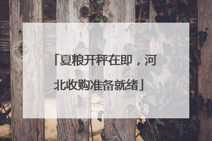 夏粮开秤在即，河北收购准备就绪